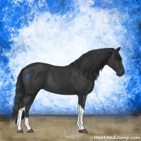 Horse Color:Black Tobiano Rabicano 