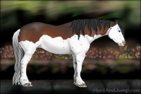 Horse Color:Brown Splash 