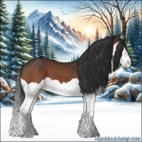 Horse Color:Brown Splash