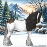 Horse Color:Bay Splash 