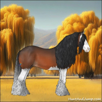 Horse Color:Bay Splash 