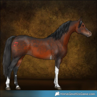 Horse Color:Brown Tobiano 