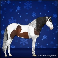 Horse Color:Brown Splash Tobiano 