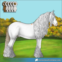 Horse Color:Buckskin Sabino Splash Blanket 