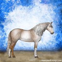 Horse Color:Gray Palomino