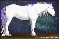 Horse Color:Watercolor Bay Onyx Sabino Splash 