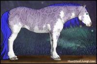 Horse Color:Watercolor Grullo Ice Splash Rabicano