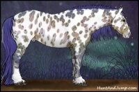 Horse Color:Watercolor Brown Ice Onyx Sabino Appaloosa Rabicano 