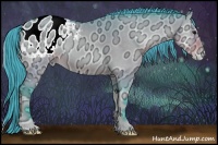 Horse Color:Watercolor Buckskin Ice Onyx Appaloosa 