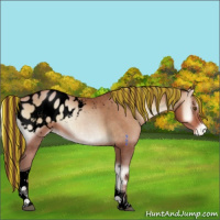 Horse Color:Void Painted Brown Roan Pearl Onyx Tobiano Appaloosa 