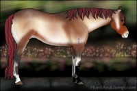 Horse Color:Void Painted Bay Onyx Appaloosa 