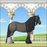 Horse Color:Grullo 