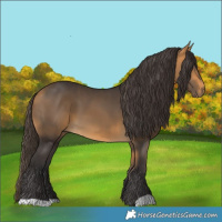 Horse Color:Buckskin 
