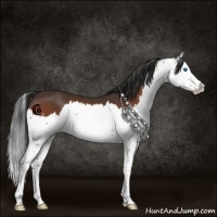 Horse Color:Brown Splash 