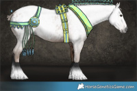 Horse Color:Gray Black Pearl Appaloosa 