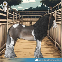 Horse Color:Brown Dun Sabino Splash Tobiano 