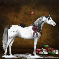 Horse Color:Brown Splash Tobiano