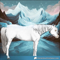 Horse Color:Black Appaloosa Rabicano