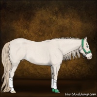 Horse Color:Smoky Creme Roan 