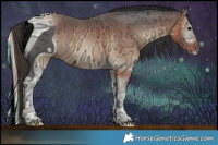 Horse Color:ERROR: UNKNOWN ANOMALY