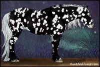 Horse Color:Watercolor White Spotted Cremello Roan Onyx Appaloosa 