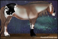 Horse Color:Liver Red Onyx Roan Appaloosa 