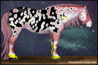 Horse Color:Watercolor Chocolate Palomino Roan Onyx Appaloosa 