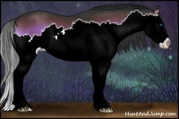 Horse Color:Liver Red Onyx Splash 