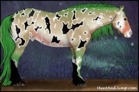 Horse Color:Watercolor Bay Roan Onyx Appaloosa 