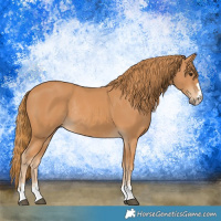 Horse Color:Chestnut Rabicano