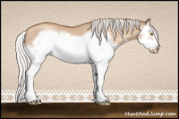 Horse Color:Silver Classic Champagne Dun Splash Frame 