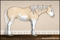 Horse Color:Silver Classic Champagne Dun Splash Frame 