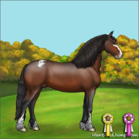 Horse Color:Bay Sabino Appaloosa