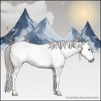 Horse Color:Gray White Spotted Bay Appaloosa 