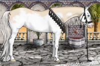 Horse Color:Silver Classic Champagne Dun Splash Frame 