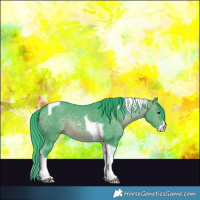 Horse Color:Watercolor Brown Dun Sabino Tobiano