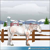 Horse Color:White Spotted Silver Sable Champagne Ice Dun Brindle 