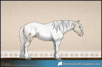 Horse Color:White Spotted Silver Buckskin Ice Dun Tobiano 