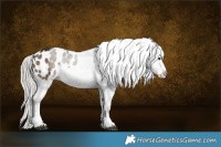 Horse Color:White Spotted Silver Brown Dun Splash Appaloosa Brindle 