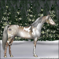 Horse Color:Gray White Spotted Liver Red Dun Mushroom 