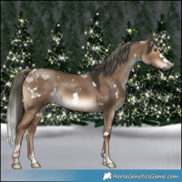 Horse Color:Gray White Spotted Liver Red Dun Mushroom 