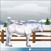 Horse Color:Watercolor White Spotted Silver Brown Chinchilla Ice Dun 