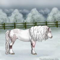 Horse Color:White Spotted Chocolate Silver Brown Chinchilla Ice 