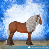 Horse Color:Silver Brown 