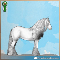 Horse Color:Gray Bay Tobiano Frame 