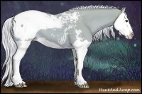Horse Color:Watercolor Palomino Splash Appaloosa 