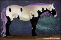 Horse Color:Watercolor Brown Onyx Splash Appaloosa