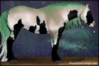 Horse Color:Watercolor Bay Onyx Splash Appaloosa 