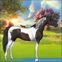 Horse Color:Brown Tobiano 