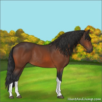 Horse Color:Bay Tobiano Rabicano